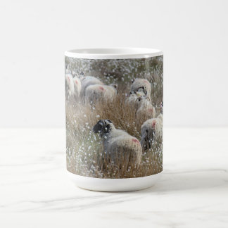 Swaledale ewes in cotton grass in Northhumberland Coffee Mug