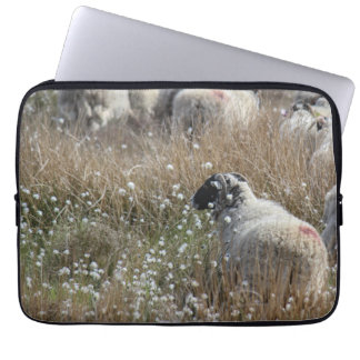 Swaledale ewes in cotton grass in Northhumberland Laptop Sleeve