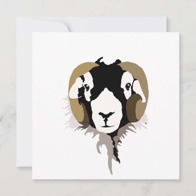 Swaledale sheep  card (Front)