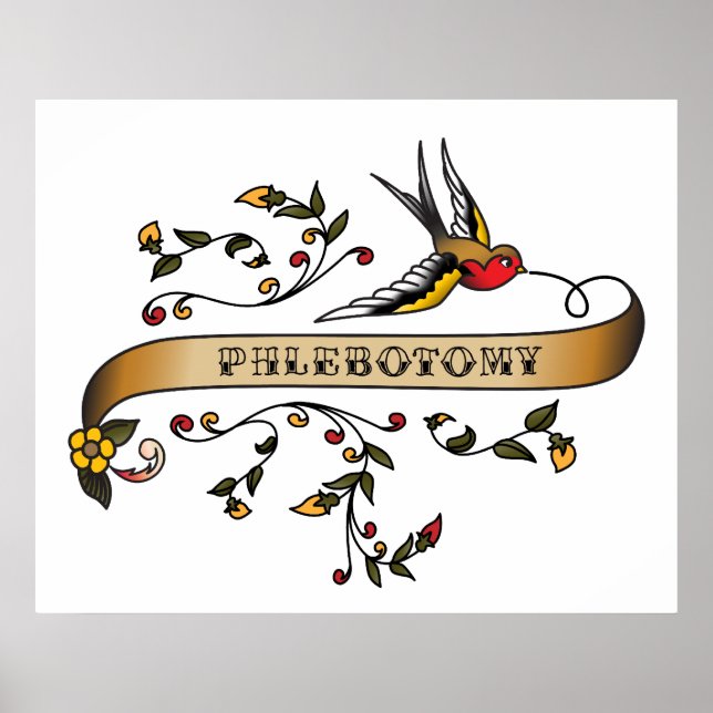 Swallow and Scroll with Phlebotomy Poster (Front)