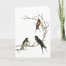 Swallow Birds on a Bare Branch