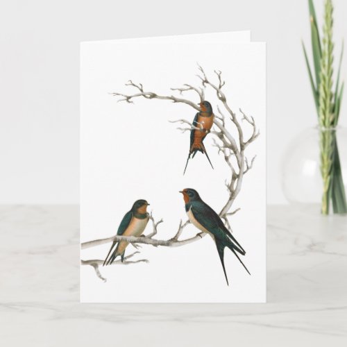 Swallow Birds on a Bare Branch Card