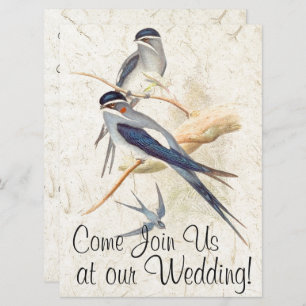 Swallow Birds Wildlife Animals Wedding Invitation