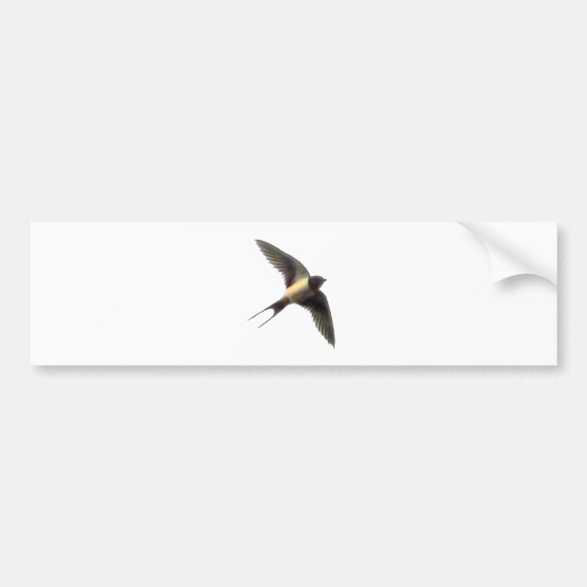 Swallow Bumpersticker with White Background Bumper Sticker (Front)