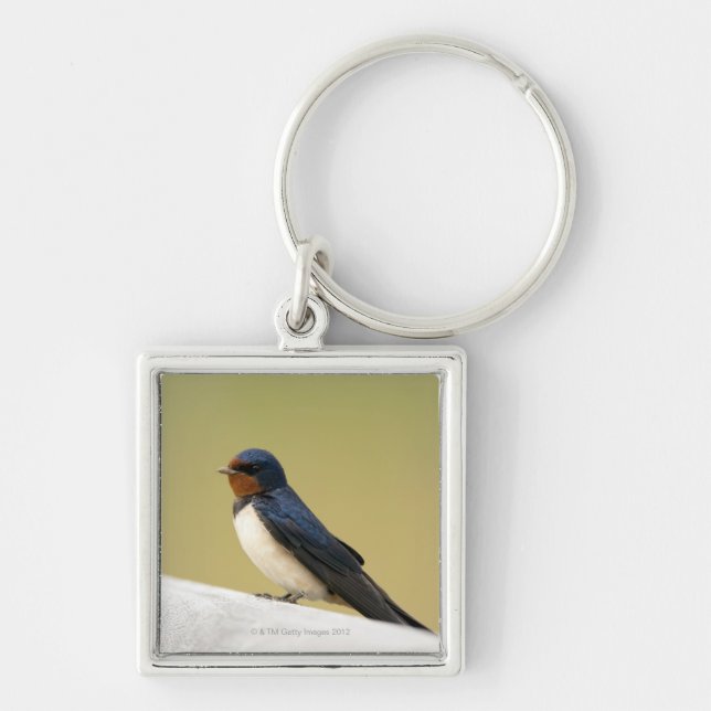 Swallow on a Wooden Ledge Keychain (Front)