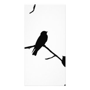 Swallow or Swifts Silhouette Love Bird Watching Card