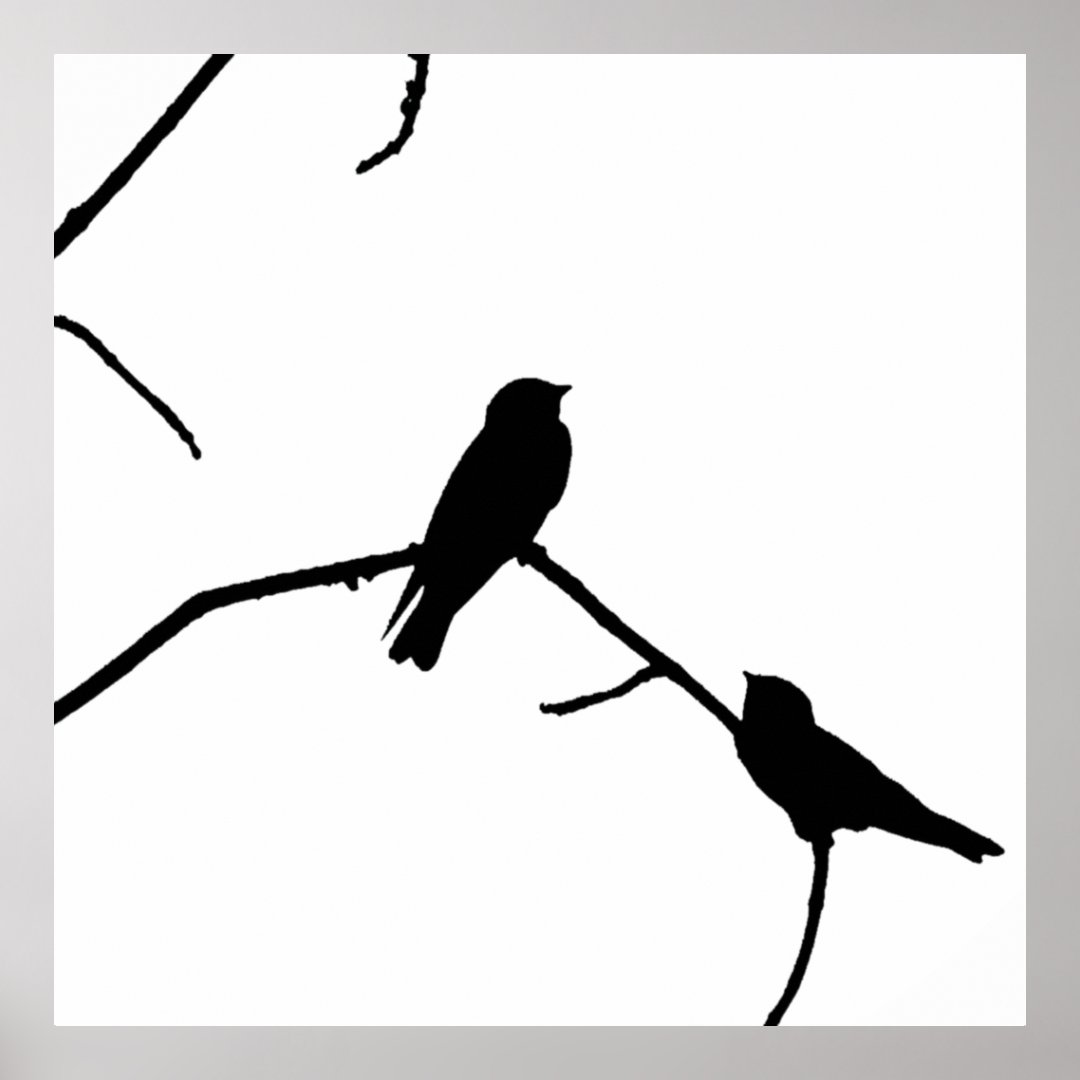 Swallow or Swifts Silhouette Love Bird Watching Poster | Zazzle