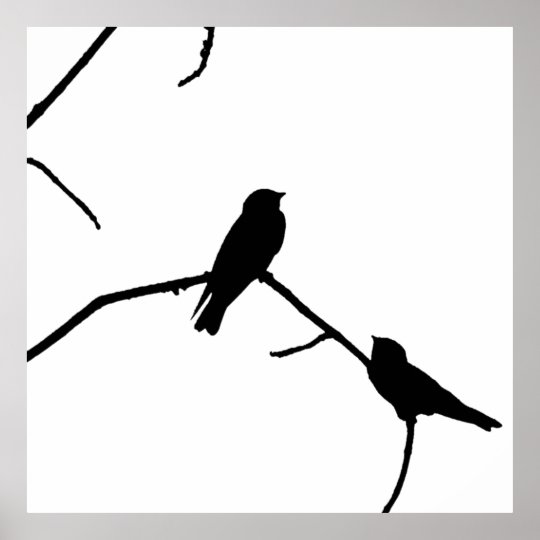 Swallow Or Swifts Silhouette Love Bird Watching Poster 