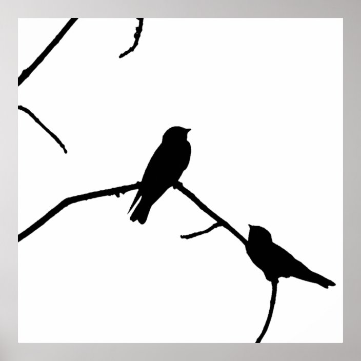 Swallow Or Swifts Silhouette Love Bird Watching Poster Zazzle Com,Country Ribs In Oven 375