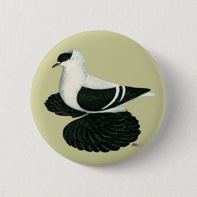 Swallow Pigeon Saxon Black White Bar Pinback Button (Front)