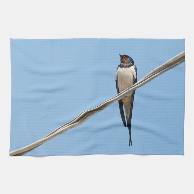 Swallow sitting on wire towel (Horizontal)