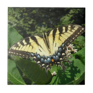 "Swallow Tail Butterfly" Ceramic Tile
