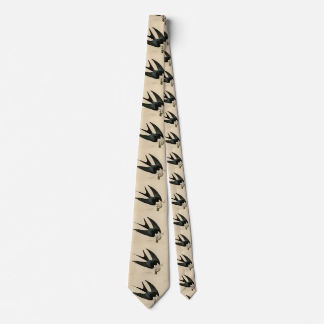 Swallow-tailed Hawk - Audubon's Birds of America Neck Tie (Front)