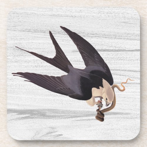 Swallow Tailed Hawk with Snake on Rustic Gray Beverage Coaster