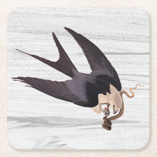 Swallow Tailed Hawk with Snake on Rustic Gray Square Paper Coaster