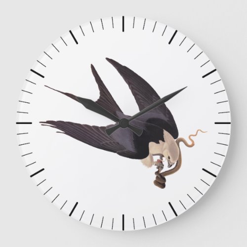 Swallow Tailed Hawk with Snake Vintage Audubon Large Clock