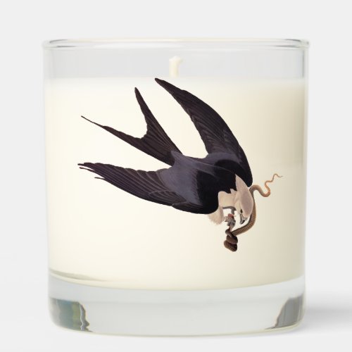 Swallow Tailed Hawk with Snake Vintage Audubon Scented Candle