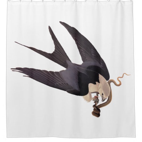 Swallow Tailed Hawk with Snake Vintage Audubon Shower Curtain