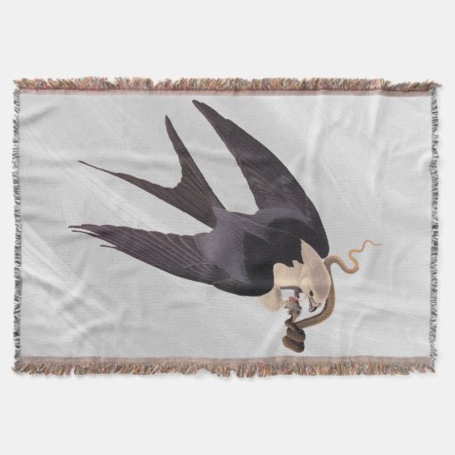 Swallow Tailed Hawk with Snake Vintage Audubon Throw Blanket