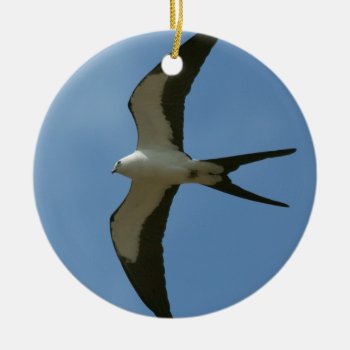 Swallow-tailed Kite Ceramic Ornament by WorldDesign at Zazzle