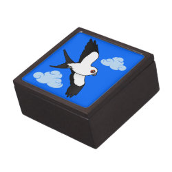 Swallow-tailed Kite in flight Medium (3