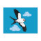 Swallow-tailed Kite in flight