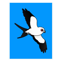 Swallow-tailed Kite in flight Postcard