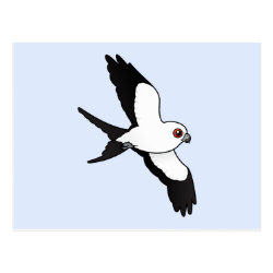 Swallow-tailed Kite in flight Postcard