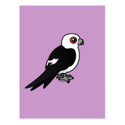 Swallow-tailed Kite perched Postcard