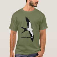 Swallow-tailed kite (version 3)