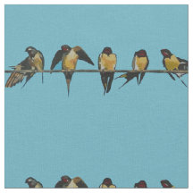 Swallows