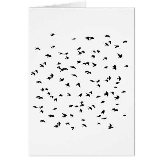 Swallows in Flight Bird Print Cards (Front)
