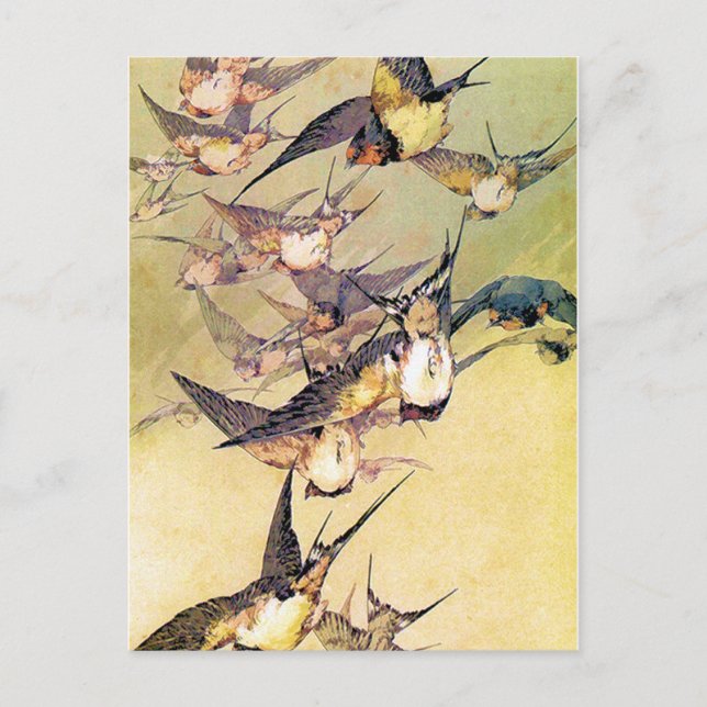 Swallows Postcard (Front)