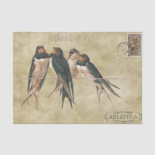 Swallows postcard tissue paper