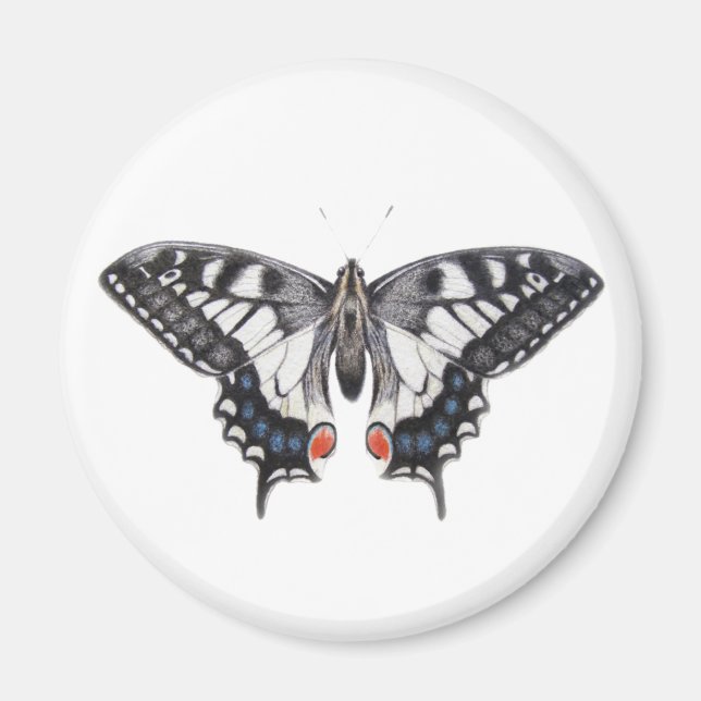 Swallowtail 2012 magnet (Front)