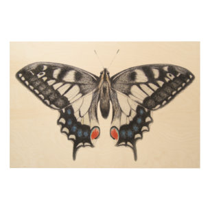 Swallowtail 2012 wood wall art