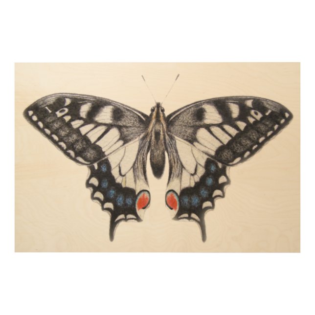 Swallowtail 2012 wood wall art (Front)
