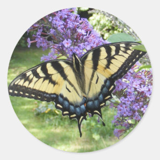 Swallowtail 94 ~ sticker