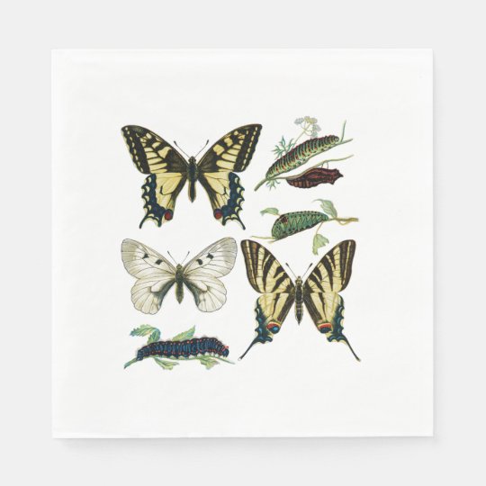 Swallowtail Butterflies Caterpillars And Moth Napkin