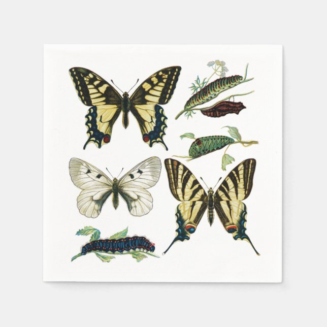 Swallowtail Butterflies, Caterpillars and Moth Paper Napkins (Front)