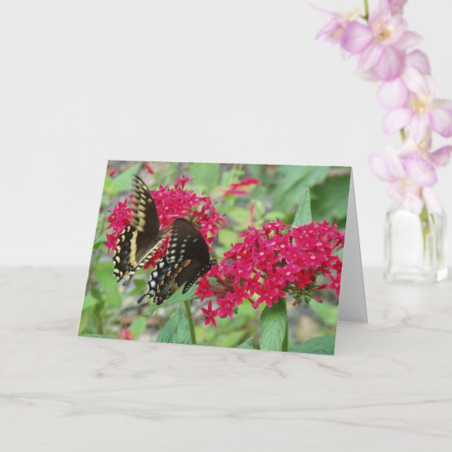 Swallowtail Butterflies on Red Penta Flowers Card (Orchid)