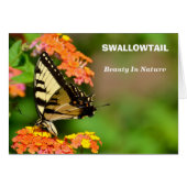 Swallowtail Butterfly (Front Horizontal)