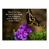 Swallowtail Butterfly (Front Horizontal)