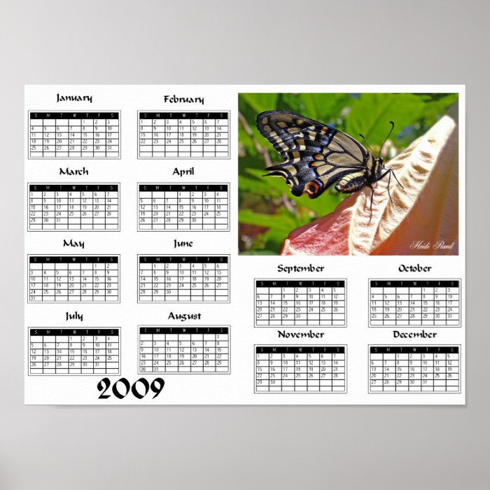 Swallowtail butterfly   2009 Calendar Posters