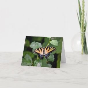 Swallowtail butterfly blank notecard.  letterpress thank you card