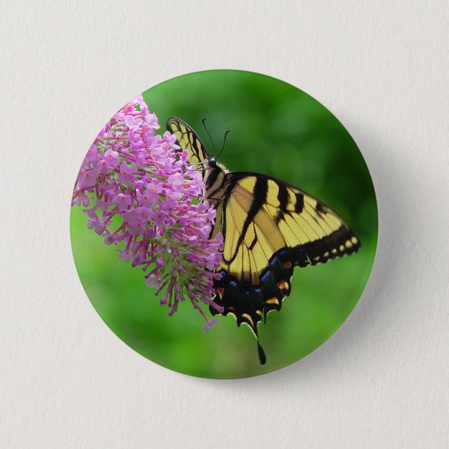 Swallowtail Butterfly Button 3 (Front)