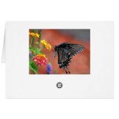 Swallowtail Butterfly Cards (Back Horizontal)