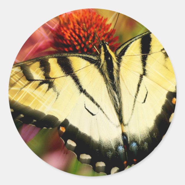 Swallowtail Butterfly Classic Round Sticker (Front)