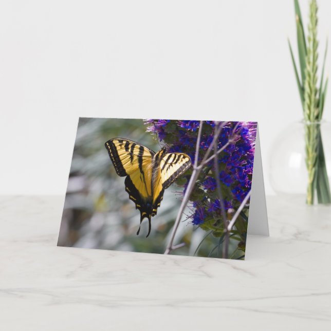 Swallowtail Butterfly Greeting Card (Front)