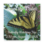 Swallowtail Butterfly I on Milkweed at Shenandoah